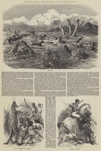 Kangaroo Hunting in Australia
