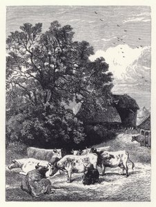Milking the Cows