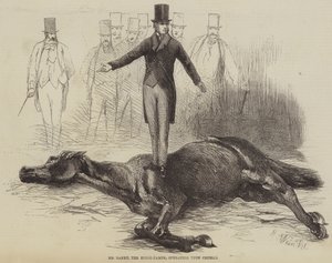 Mr. Rarey, the Horse-Tamer, Operating upon Cruiser