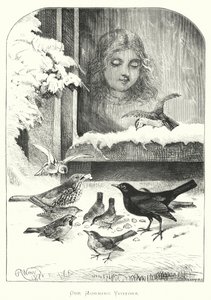 Our Morning Visitors by Harrison William Weir