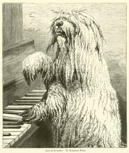 Quiz at the Piano