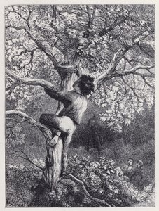 Taking the Linnets