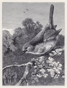 The Robin Watching the Boys with the Nest by Harrison William Weir