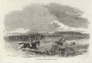 The Waterloo Coursing Meeting