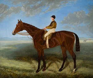 Salpinctes-a Race Horse by Harry (after) Hall