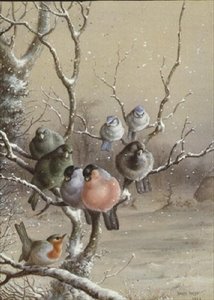 Birds on a Snowy Branch by Harry Bright