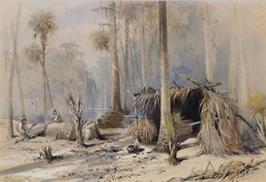 The Cypress-Shingle Yard, Ocklawaha River, Florida by Harry Fenn