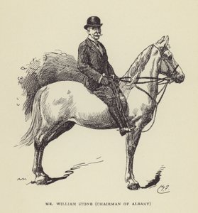 Mr. William Stone, Chairman of Albany by Harry Furniss