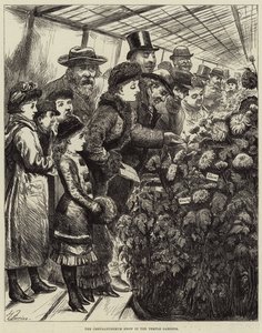 The Chrysanthemum Show in the Temple Gardens by Harry Furniss