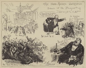 The Home-Rulers Outraged, Scenes at the Banquet in Dublin