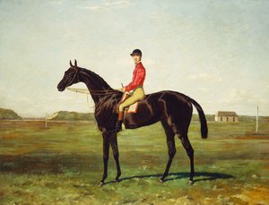 A Racehorse with Jockey on the Racetrack at Newmarket by Harry Hall
