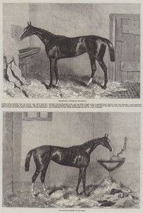 Winners of the Derby and Oaks