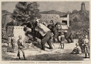 Afghanistan, fortifying a Position, Elephants razing Outbuildings by Harry Hamilton Johnston