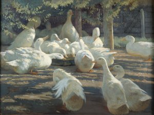 Sunlight and Shadow by Harry Percy Clifford