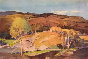 In Glen Cannich