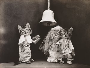 Kitties Series: Wedding, c.1914 by Harry Whittier Frees