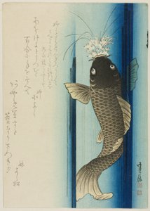 Carp Ascending Waterfall by Hasegawa Sadanobu