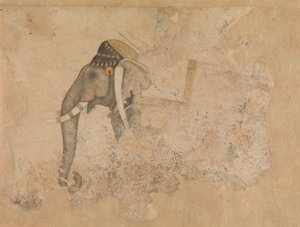 Elephant and Rider