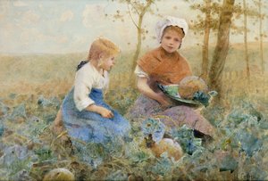 Gathering Pumpkins