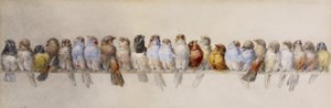 A Perch of Birds, c.1880