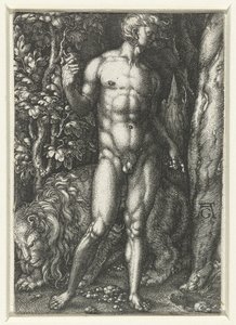 Adam by Heinrich Aldegrever