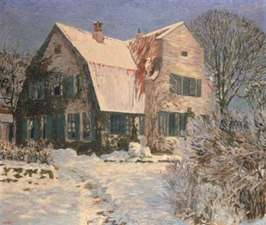 House and Garden under Snow