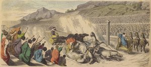Chariot Racing at the Olympic Games in Ancient Greece