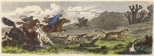 Hunting puma with lassos in Brazil by Heinrich Leutemann
