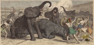Killing of Captured Elephants in a Roman Arena by Heinrich Leutemann