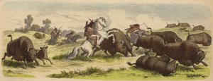 Native Americans on Horseback Hunting Buffalo (Coloured Engraving)