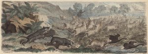 Tasmanian tigers attacking sheep in Tasmania