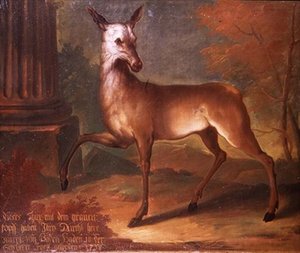 A Roe Deer by Heinrich Lihl