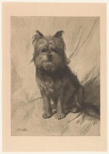 Dutch Smoushond by Heinrich M. Krabbé