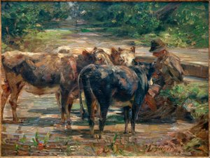 Shepherd with Calves
