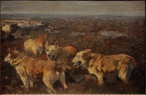 Dogs