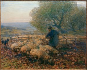Sheep Leaving the Pen