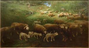 Flock of Sheep with Lambs