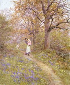 Bluebells