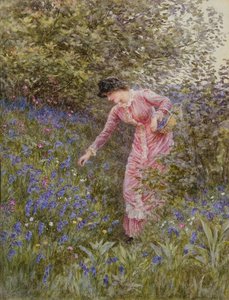 Gathering Bluebells