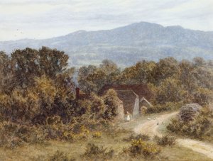 Hindhead from Sandhills, Witley