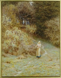 In the Primrose Wood