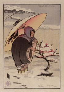 Little Pink Plum by Helen Hyde