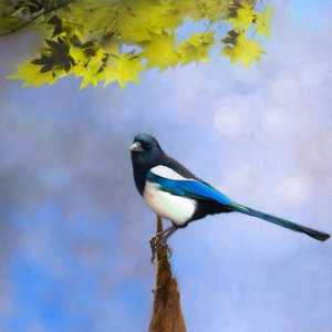 Balance Keeper by Helen White