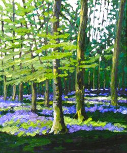 Bluebell Wood, 2009 by Helen White