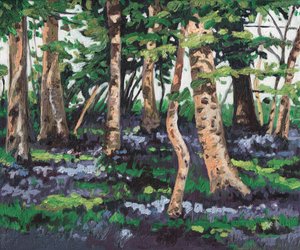 Bluebell Wood by Helen White
