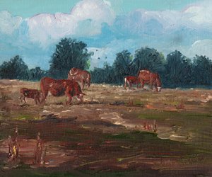 Cows Grazing
