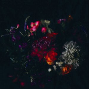 Dark Floral