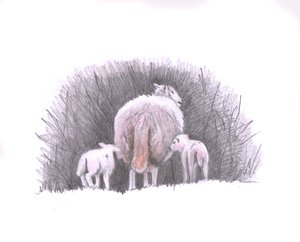 Follow, 2016 by Helen White