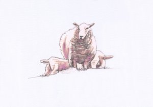 Gentle Spirits X by Helen White