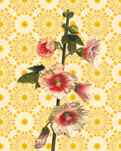 Hollyhocks on Sunshine by Helen White